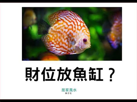 財位放魚缸好嗎|財位放魚缸？風水師揭5大禁忌